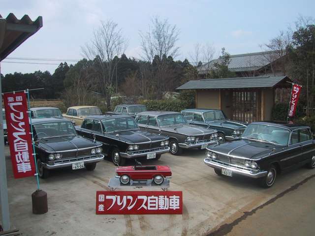 プリンスガレージカトリトラストガレヨコキクちゃん🌟本日は楽しい撮影でした😁またご協力頂きました店舗企業様本当にありがとうございます‼️プリンスガレージカトリ社長お弁当🍱ありがとうございました😊大変おいしかったです👍トラスト本部長→市原君