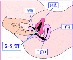 彼女をいかせるには5つの攻め方とコツがポイント！イカない原因と開発方法もご紹介 | Ray(レイ)