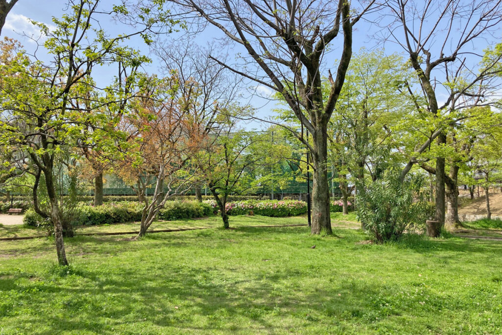 リフレッシュ カミタ（広島市中区/小売店）の住所・地図｜マピオン電話帳