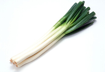 スーパーオザム下里店 ホームメイト