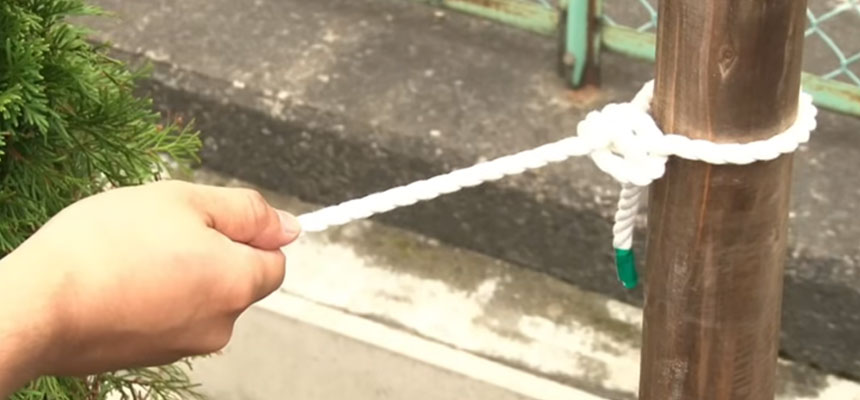 テント・タープのロープのしまい方～買った時みたいにきれいに巻くコツゴリラキャンプ部