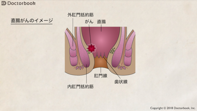 食品「アンタムズオン」が医薬品と誤解を招く宣伝 - Vietnam.vn