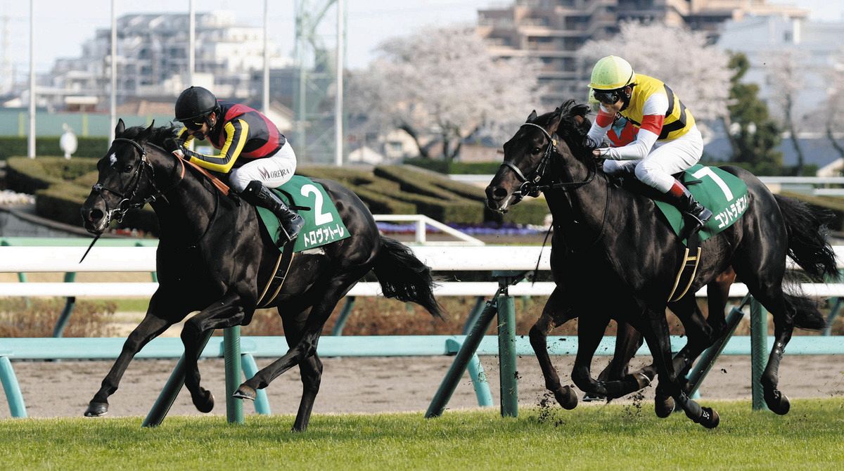 中京4R 馬が内ラチ激突でルメール落馬！この後のレース予定通り騎乗 : ☆うまなみ・競馬にゅーす速報