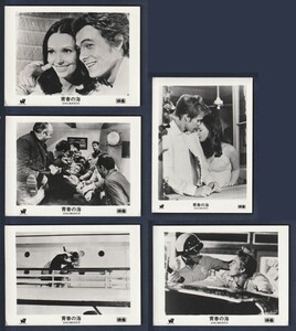 肥料争奪戦の時代 希少資源リンの枯渇に脅える世界原題 THE DEVIL'S ELEMENT』ダン・イーガン著 原書房３０８０円 : 読売新聞