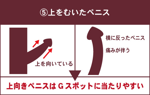 女性が求めるペニスとは？女性の理想と本音を解説｜グー薬局