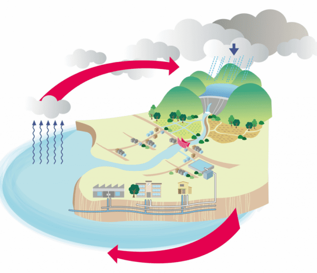 漁師だけでは成り立たない！ 漁業を支える仕事と人々マイナビ農業