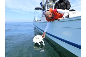 えんの旅』by ㈱ハウスボートクラブこんばんは、「 えんの旅」です♪ 今日は 七夕 ですね🎋今年は全国各地で「 七夕まつり」が開催されているようです！ 皆さんはどちらの 七夕まつり で大切な人へ気持ちを伝えましたか？😊これからの季節、夏～秋～冬と、みんなで