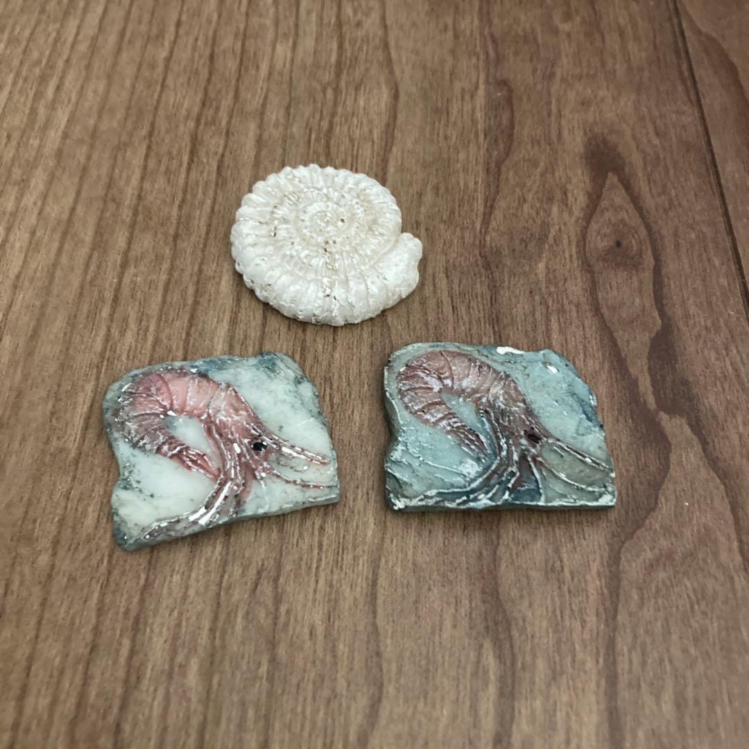 100均「発掘シリーズ」セリアとDAISO、どっちがおすすめ？試した7種類を紹介！まめねこノート