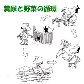 畜産糞尿処理株式会社イイダ微研有用微生物 『テトラ菌』 の研究開発