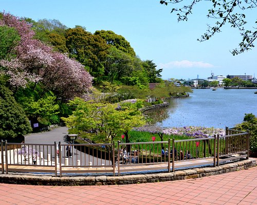 藤枝・瀬戸谷エリア＞大人も子どもも楽しめる！温泉、グルメ、陶芸、アウトドア体験｜静岡新聞アットエス