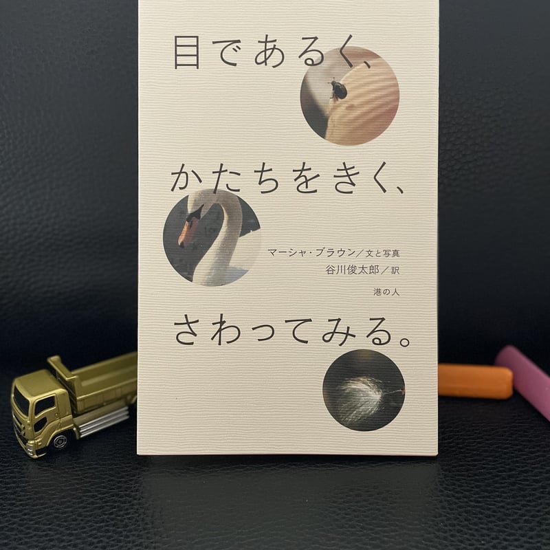 目端が利く】と【目鼻が利く】は同じ意味？違う意味？ | ことばのぎもん