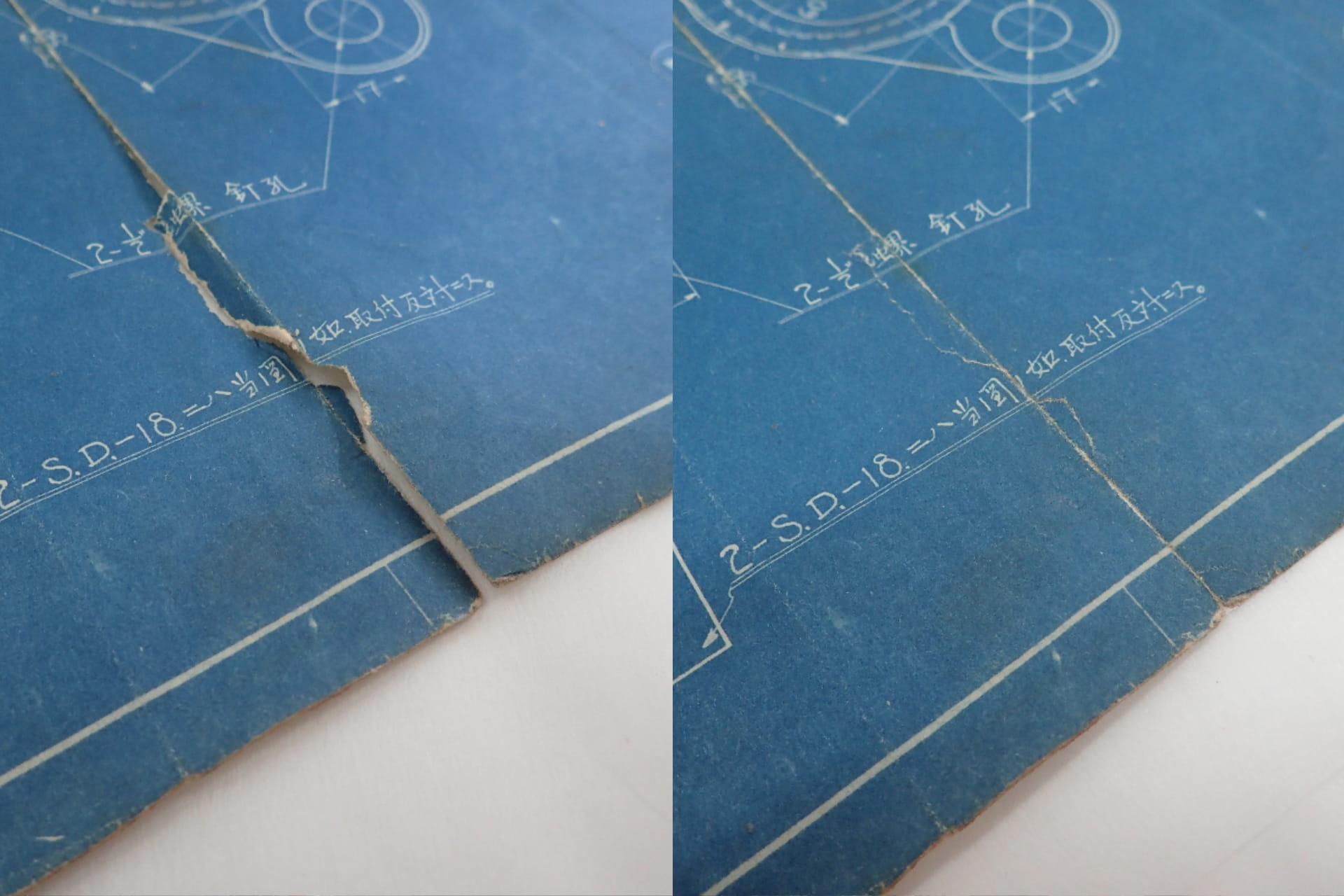 青焼き Caesar Cottage 設計図 図面 - メルカリ