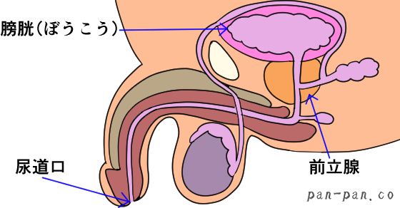 ものすごい塩吹き男 | 写真で一言ボケて(bokete) - ボケて