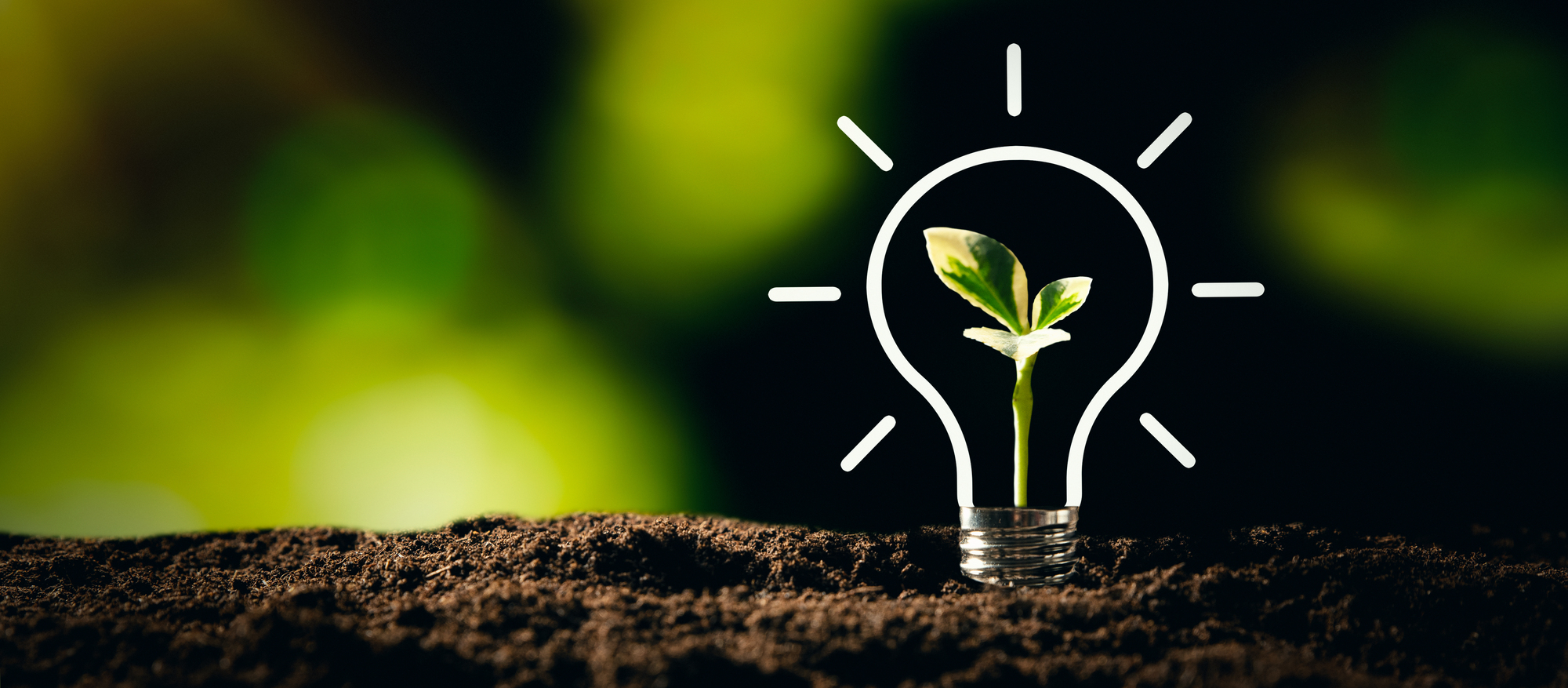 偉人トーマス・エジソンの名言“There is no substitute for hard work.” 受験の味方小論文.com 添削指導講座@note ≪最速3h以内返却≫