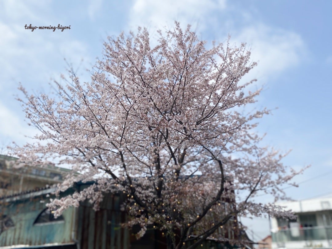 カフェソウルツリー』 Cafe Soul Tree 心くすぐる倉庫カフェ!オシャレな隠れ家Best Travel Tokyo