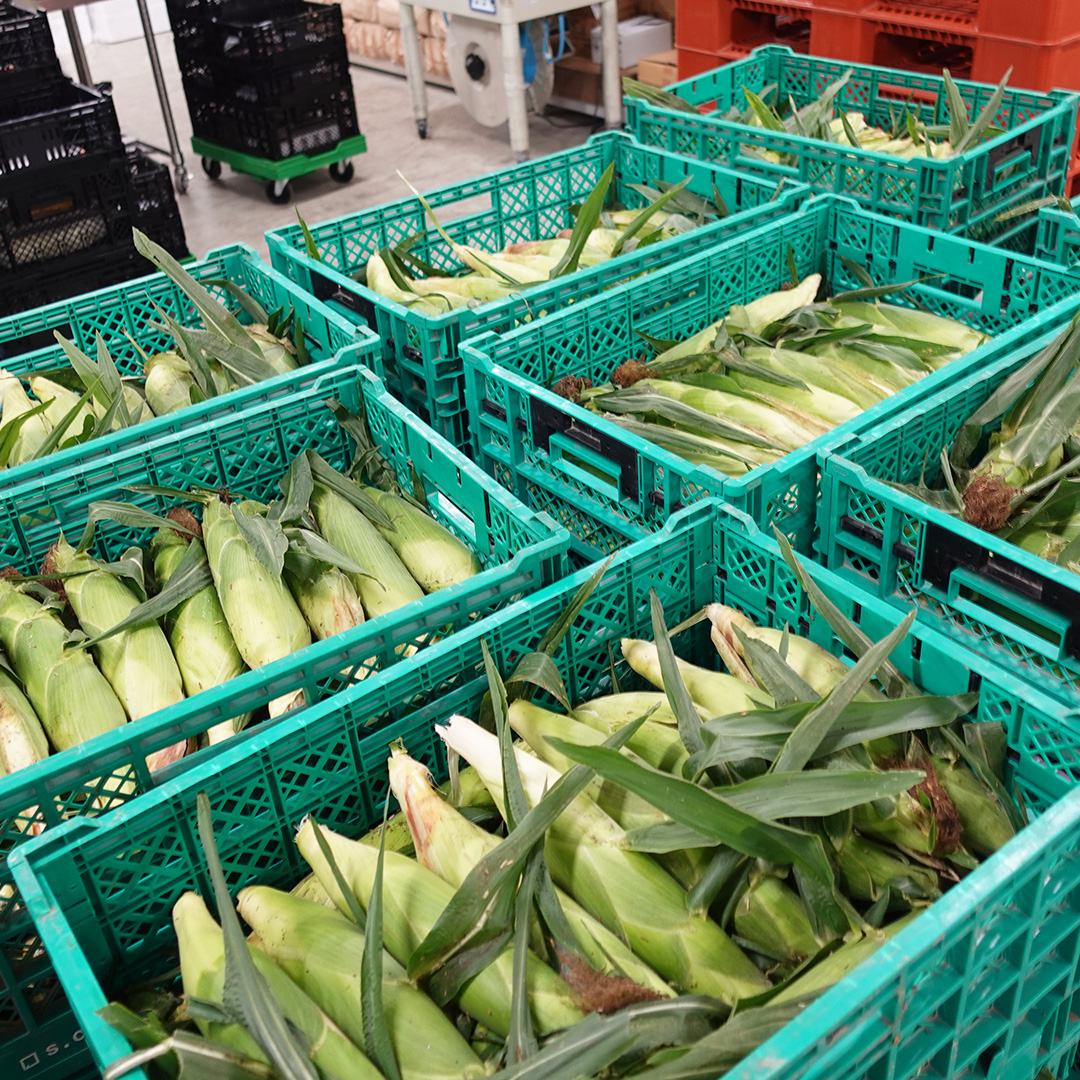 カニカニ詐欺徹底まとめ 北海道水産会社を名乗る海鮮物詐欺の電話に気を付けろ！ヤミツキマツモト