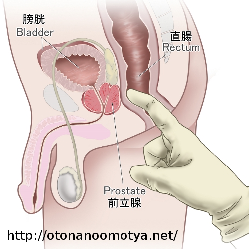 変態男のオナニー＆アナニー、一夜の自慰行為投稿画像 - 性癖エロ画像