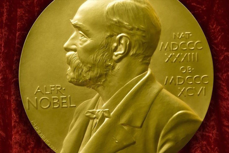 Amazon.co.jp: コイン ノーベル賞金メッキコインメダル手工芸科学者名誉記念品 径40mm : スポーツ＆アウトドア