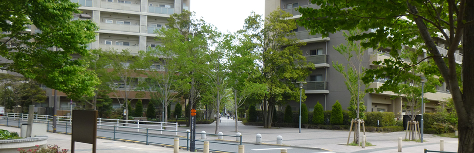 東武スカイツリーライン 西新井駅西口再開発バウアーの自由気まま お散歩日記 日々の記録