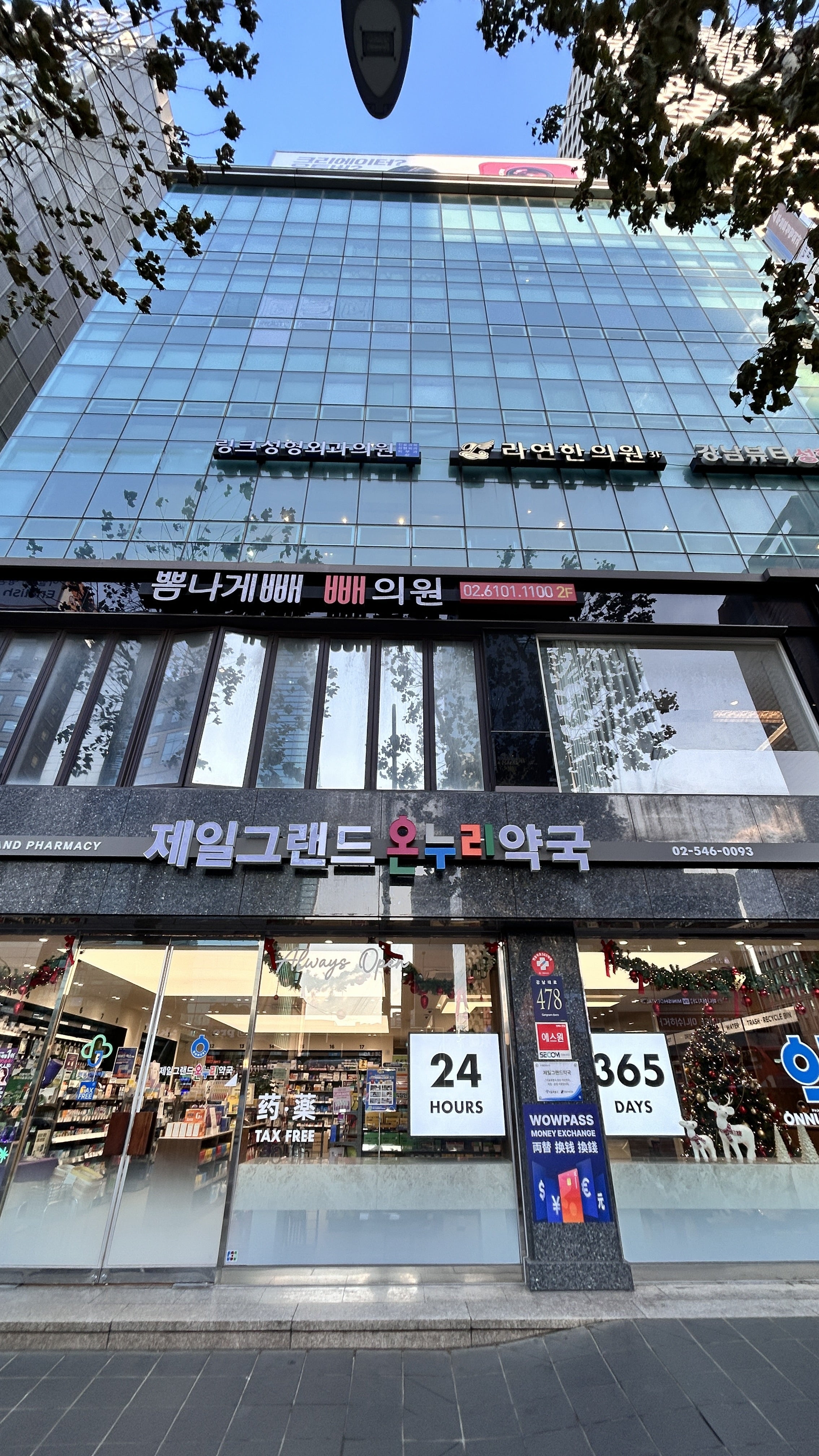 薬樹WORKS ブランディングの成功事例EIGHT BRANDING DESIGN