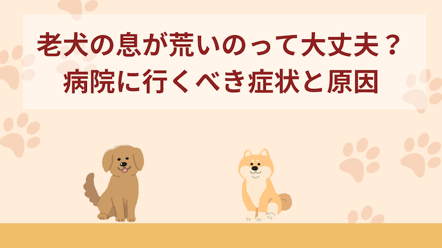 犬がこんな寝方をしたら要注意！ 気をつけたいしぐさを獣医師が解説｜いぬのきもちWEB MAGAZINE