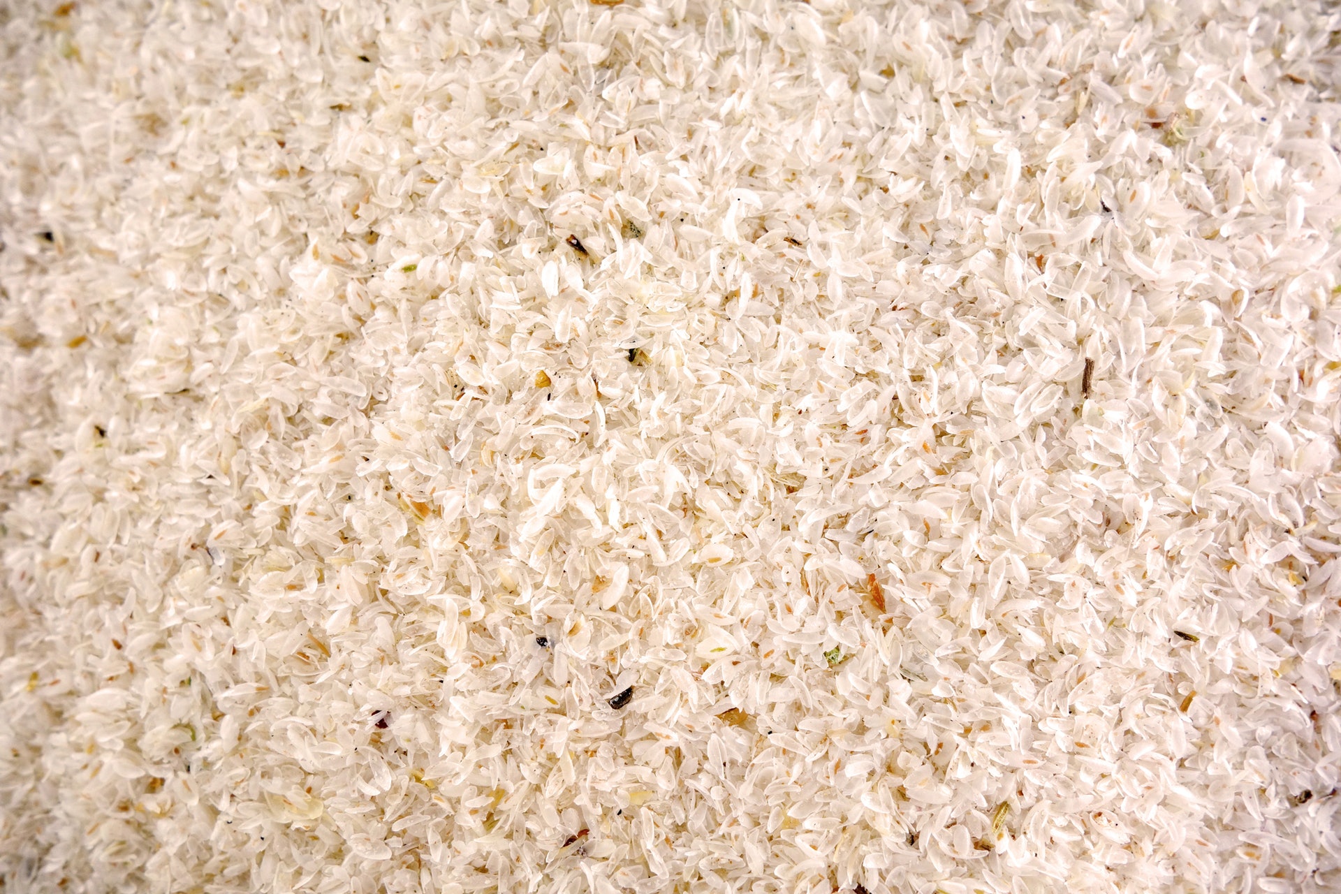 Syllium籽蚤草種子車前子種子：洋車前子種子-照片素材 圖片33135741- PIXTA圖庫