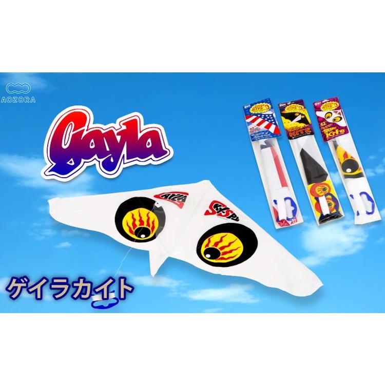 ゲイラカイト株式会社あおぞら -AOZORA