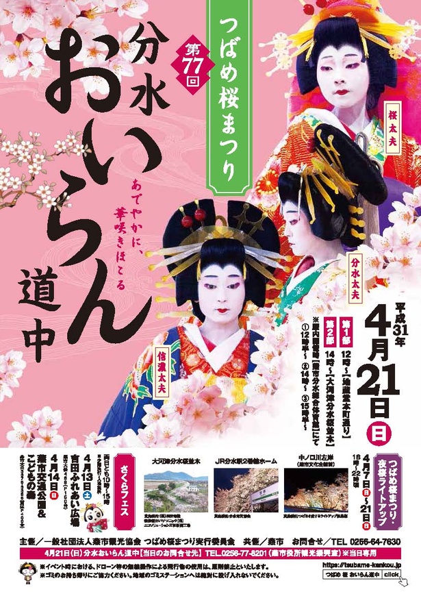 華やかに艶やかに！新潟県燕市で「第77回分水おいらん道中」開催｜ウォーカープラス