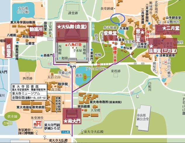 スマホで何とか頑張りましたw 今年も大仏蛍が飛び始めました✨Facebook