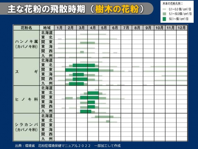 秋の花粉症：オオブタクサ花粉症 - しんでん東耳鼻咽喉科