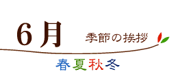 手紙の書き方：時候のあいさつ ５月 夏 レター・カード専門店 - G.C.PRESS ONLINE SHOP