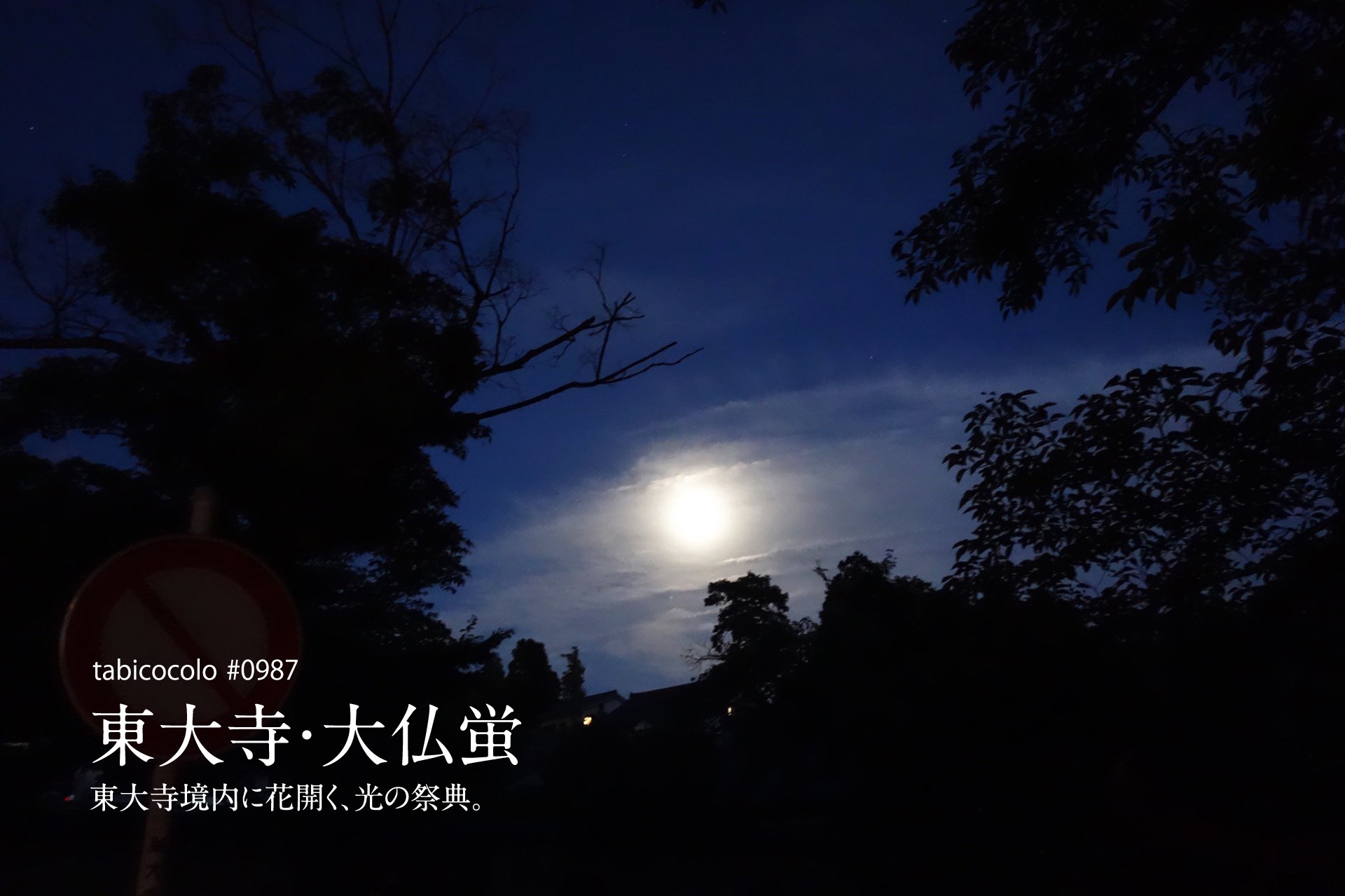 スマホで何とか頑張りましたw 今年も大仏蛍が飛び始めました✨Facebook