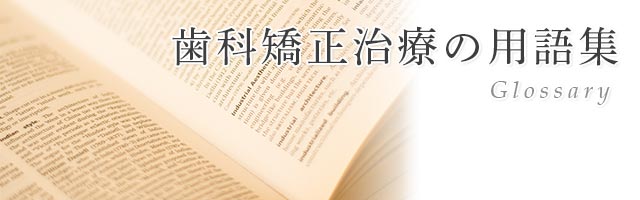 エステ | サービス内容の説明等で使用した専門用語を解説