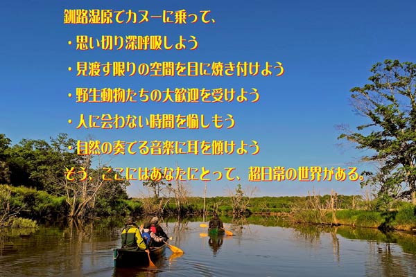 民宿たましろ | 海獣記