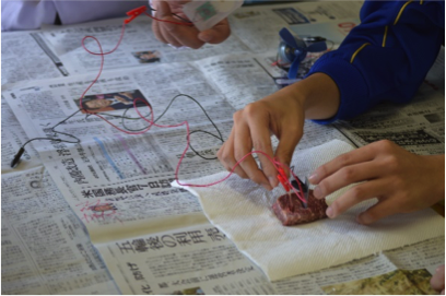 スーパーガルバーニＳ50長さ50㎝