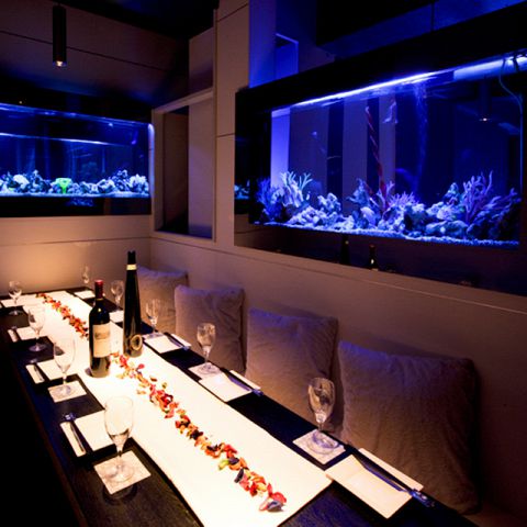 マクセル アクアパーク品川 チケットKlook