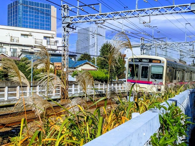 京王の「準特急」が消滅 2022年3月にダイヤ改正実施鉄道ニュース鉄道チャンネル