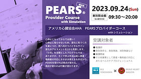 eA夏色日記GO 豊丸産業 豊丸産業 パチンコ機種情報パチンコビレッジ