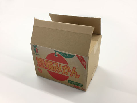 発送梱包用段ボール ６０サイズ 公式 ≪１個からお届け≫Can☆Doネットショップ