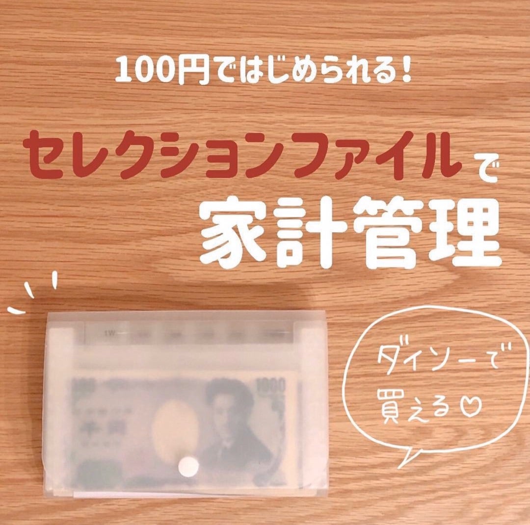 コインケース 全硬貨収納トレータイプ- 100均 通販 ダイソーネットストア 公式