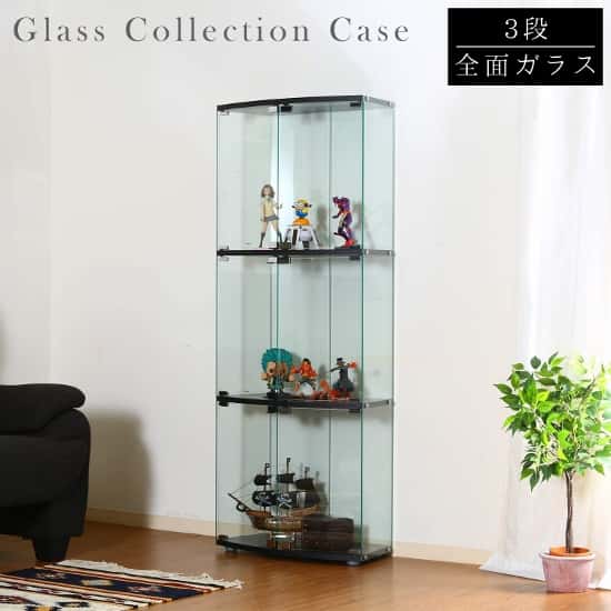 トレカ用に購入したコレクションケースの紹介 ポケカ、遊戯王からーげの小屋裏秘密基地