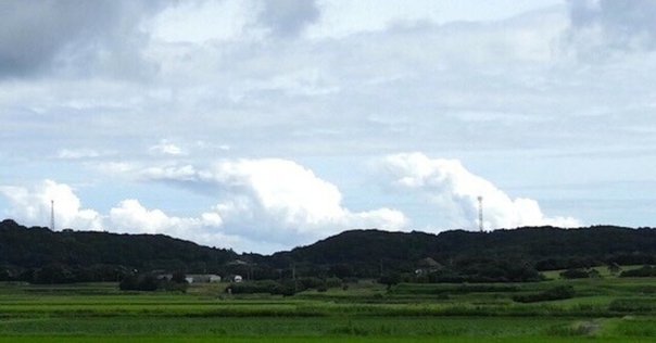 C1000427 扇風機クリップタイプ MZL-31 CRECOTE ホワイト色 幅130mm奥行130mm高さ210mm C1000427 -通販モノタロウ