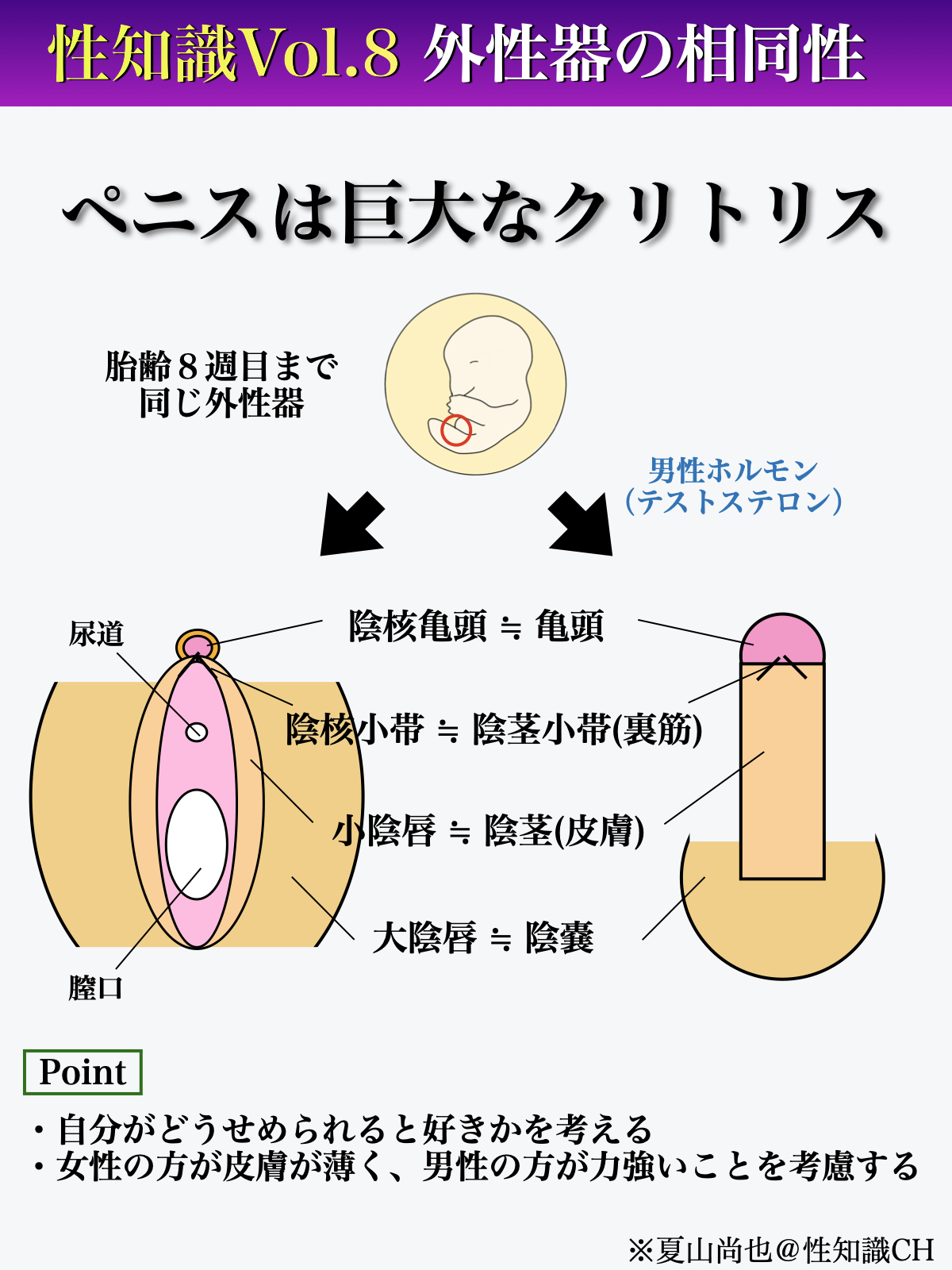 クリトリス（陰核）包茎手術｜京都の美容外科すなおクリニック(四条河原町)