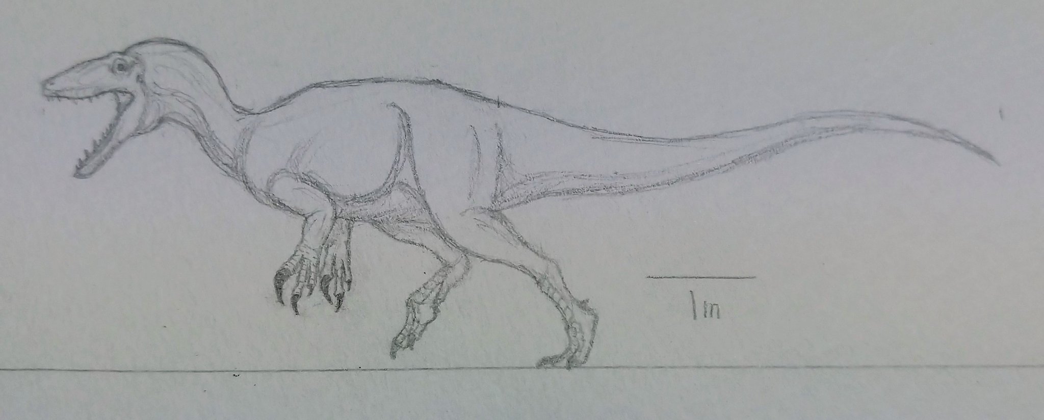 ゆっくり解説 2023恐竜博特集②巨大なラプトルってどんな生物？メガラプトル類