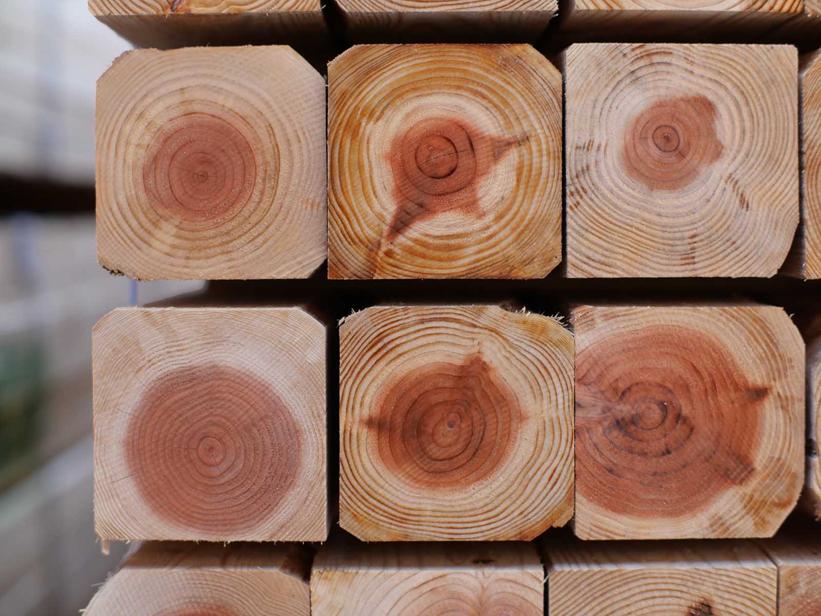 バタ角」の人気商品一覧安い商品を通販サイトから探す - 価格.com