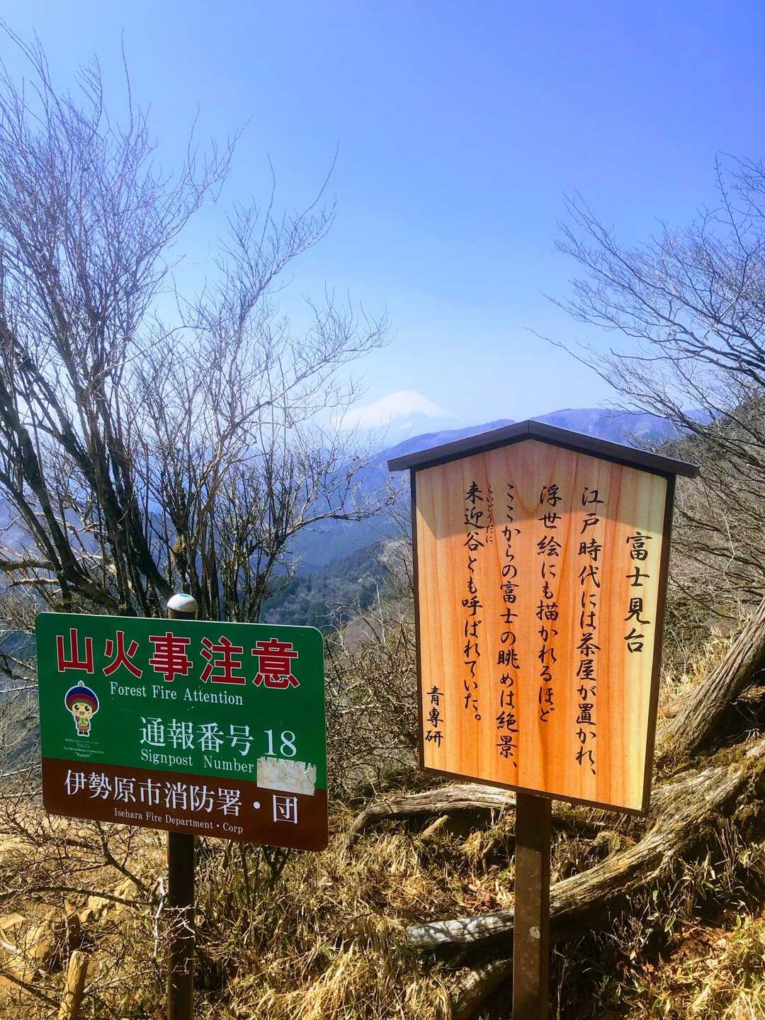 ホームズ サンハイツフジ2 伊勢原市 の賃貸情報