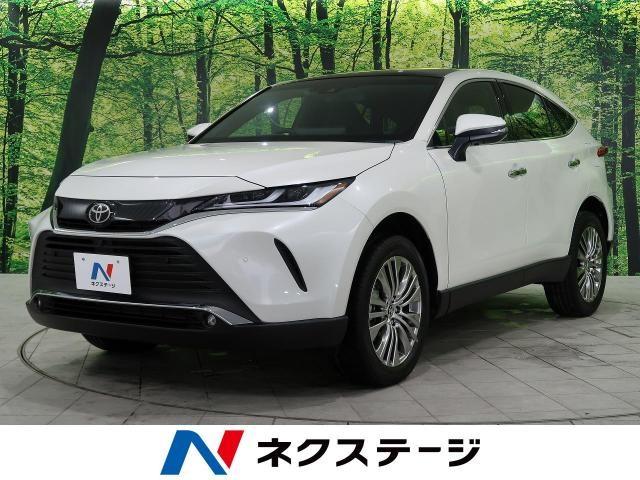 鳥 鷹のような マークで、V型のような、シルバーのネックレスわかりませんか？？- Yahoo!知恵袋