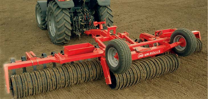 モナルダ 赤 苗 ケンブリッジ スカーレット 株分け ハーブ 香草の通販 by さち's shopラクマ