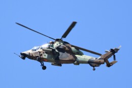 Amazon.co.jp: ホビーボス 1 72 ヘリコプターシリーズ ユーロコプター タイガーUHT プロトタイプ プラモデル 87211 :おもちゃ