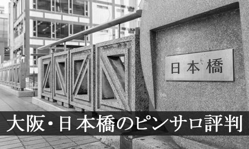 システム｜日本橋 風俗 ＧＯＧＯ！電鉄 日本橋駅